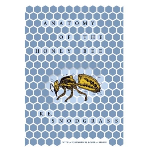 Anatomy of the Honey Bee (häftad, eng)
