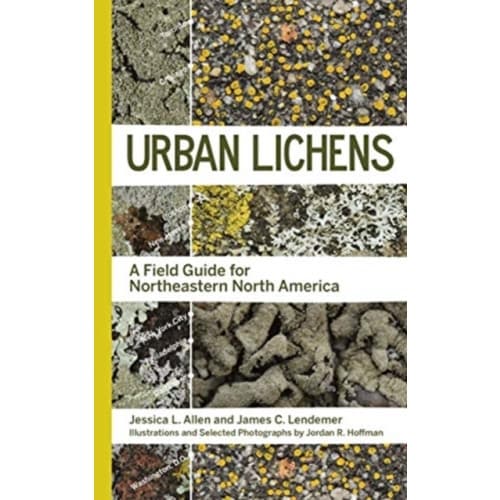 Urban Lichens (häftad, eng)