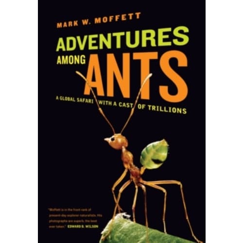 Adventures among Ants (häftad, eng)