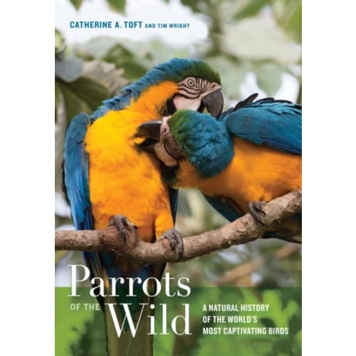 Parrots of the Wild (inbunden, eng)