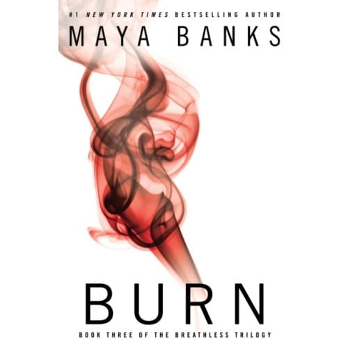 Burn (häftad, eng)