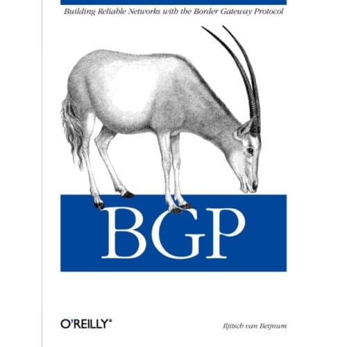 BGP (häftad, eng)