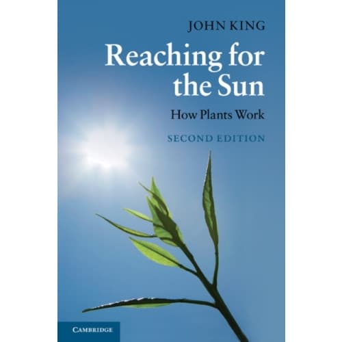 Reaching for the Sun (häftad, eng)