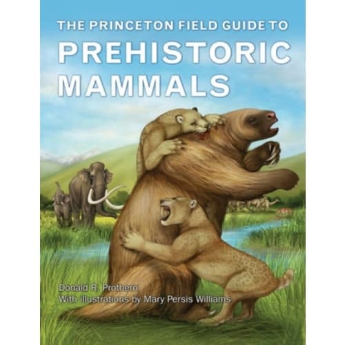 The Princeton Field Guide to Prehistoric Mammals (inbunden, eng)