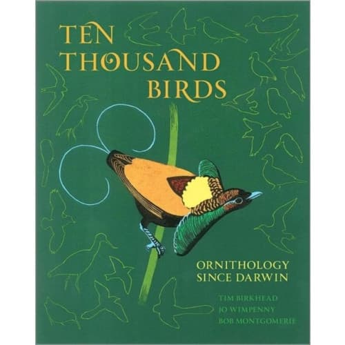 Ten Thousand Birds (inbunden, eng)