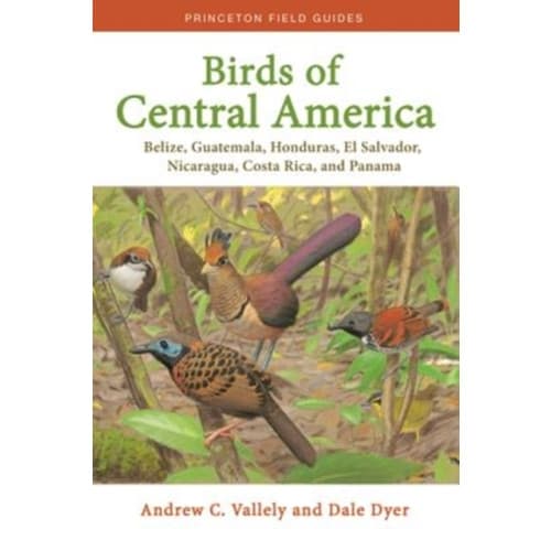 Birds of Central America (häftad, eng)