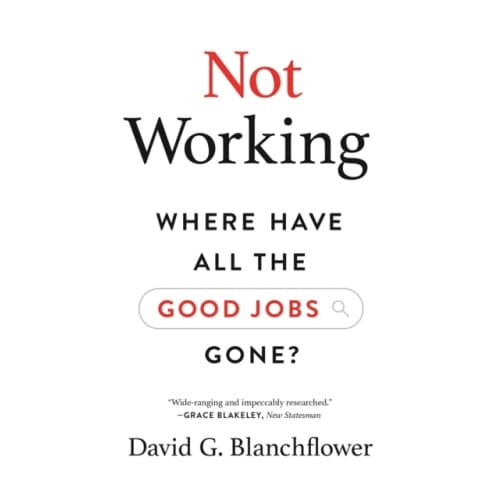 Not Working (häftad, eng)