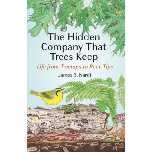 The Hidden Company That Trees Keep (inbunden, eng)