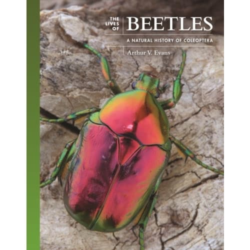 The Lives of Beetles (inbunden, eng)