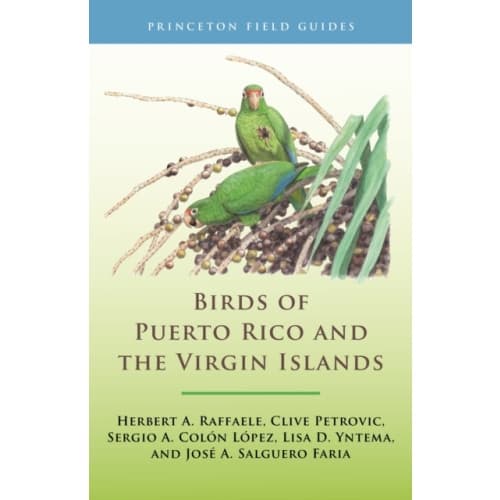 Birds of Puerto Rico and the Virgin Islands (häftad, eng)