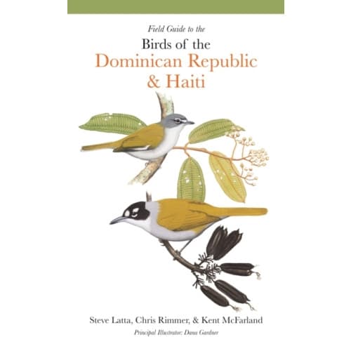 Field Guide to the Birds of the Dominican Republic and Haiti (häftad, eng)