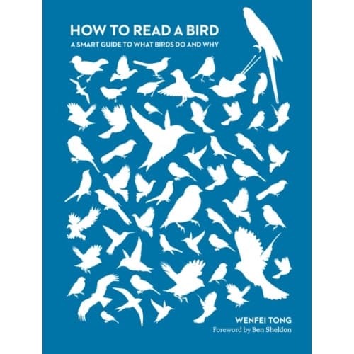How to Read a Bird (häftad, eng)