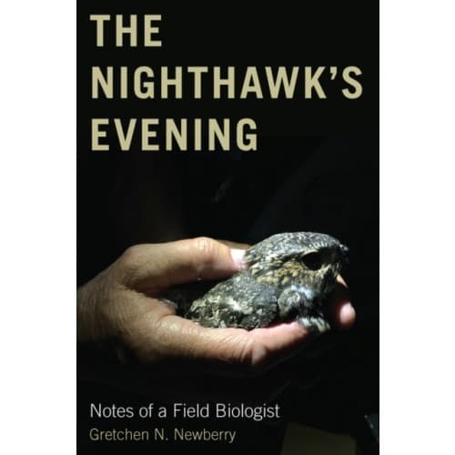 The Nighthawk's Evening (häftad, eng)