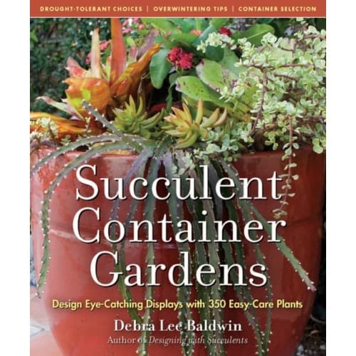 Succulent Container Gardens (inbunden, eng)