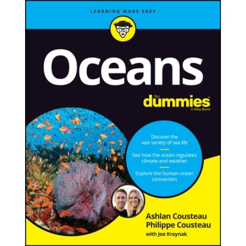 Oceans For Dummies (häftad, eng)