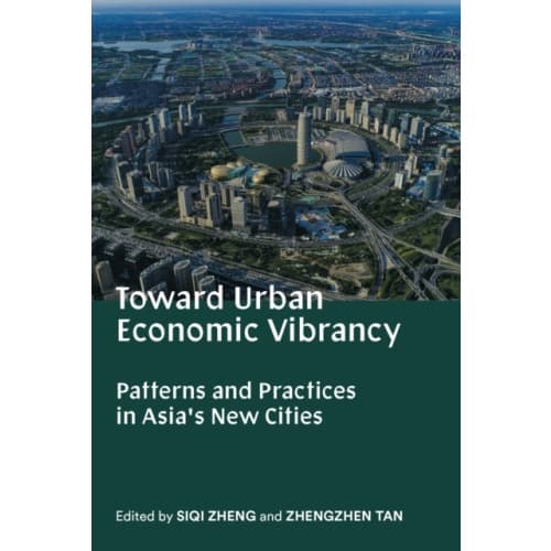 Toward Urban Economic Vibrancy (häftad, eng)