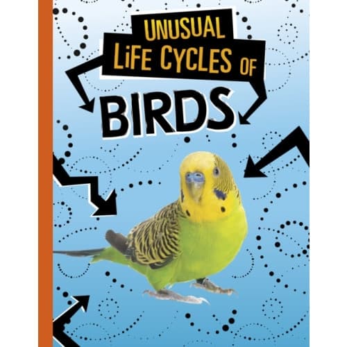 Unusual Life Cycles of Birds (inbunden, eng)