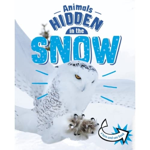 Animals Hidden in the Snow (inbunden, eng)