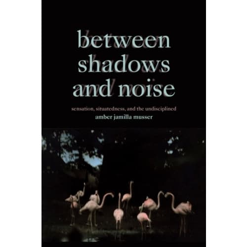 Between Shadows and Noise (häftad, eng)