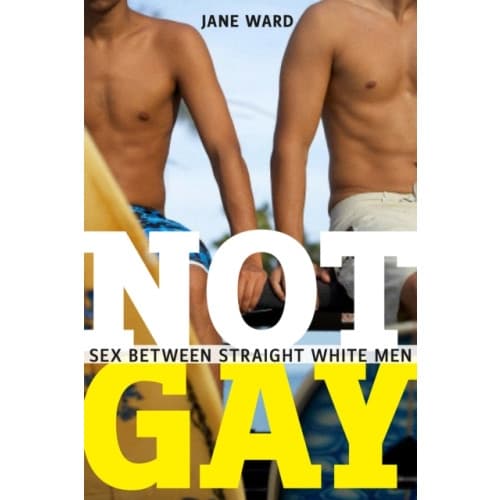 Not Gay (häftad, eng)