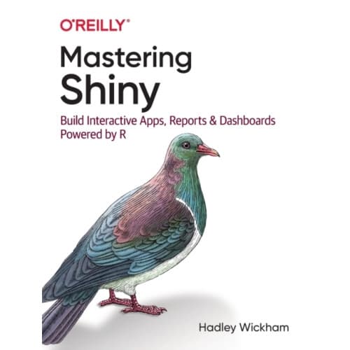 Mastering Shiny (häftad, eng)