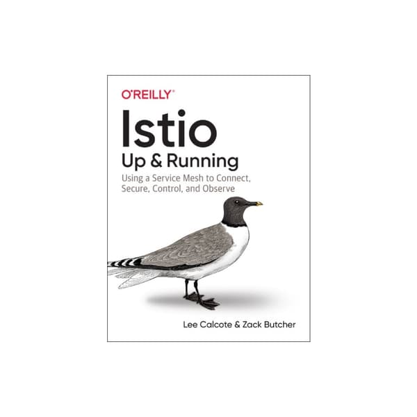 Istio: Up and Running (häftad, eng)