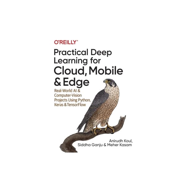 Practical Deep Learning for Cloud and Mobile (häftad, eng)