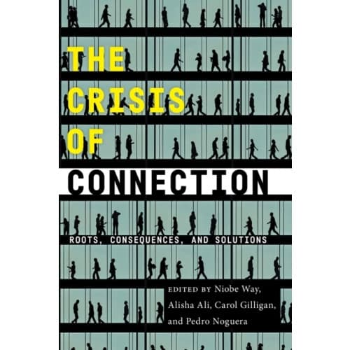 The Crisis of Connection (häftad, eng)
