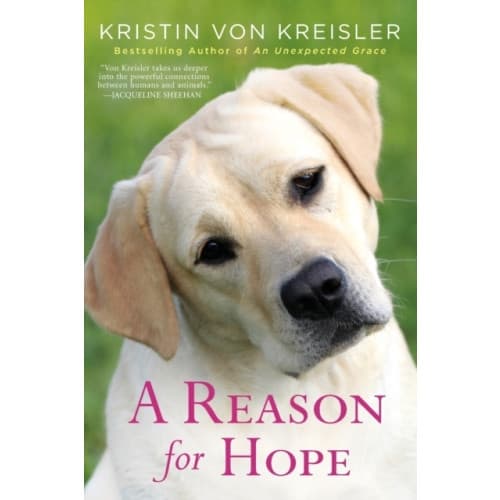 A Reason for Hope (häftad, eng)