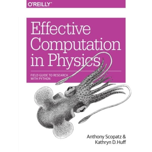 Effective Computation in Physics (häftad, eng)