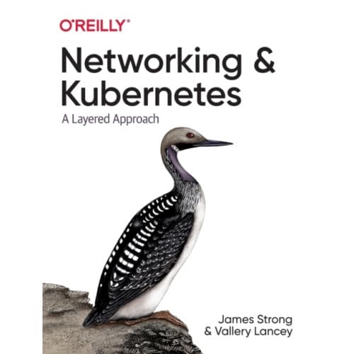 Networking and Kubernetes (häftad, eng)