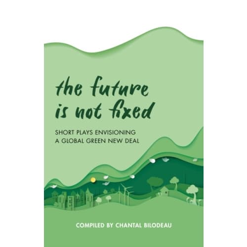 The Future Is Not Fixed (häftad, eng)