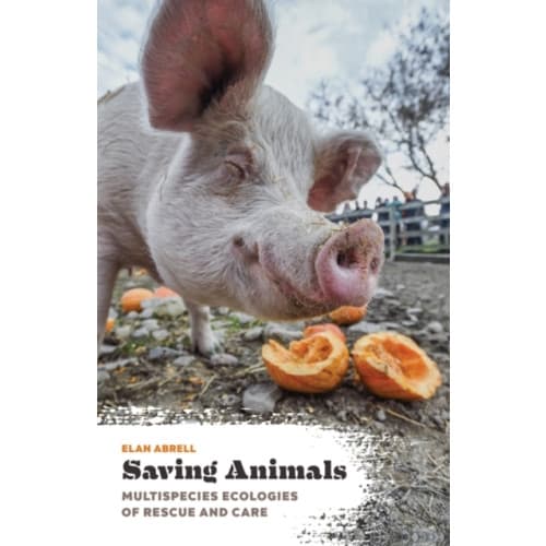 Saving Animals (häftad, eng)