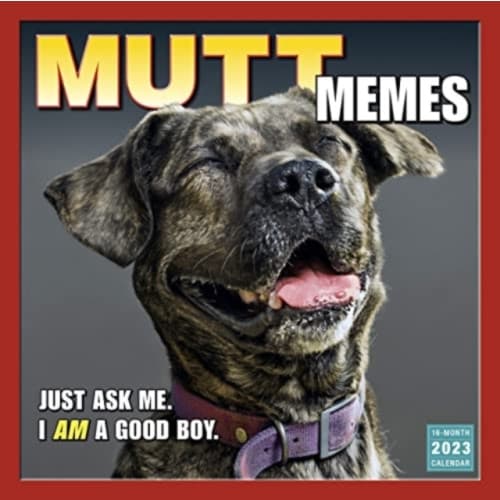MUTT MEMES (häftad, eng)
