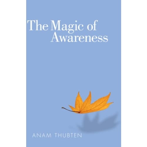 The Magic of Awareness (häftad, eng)
