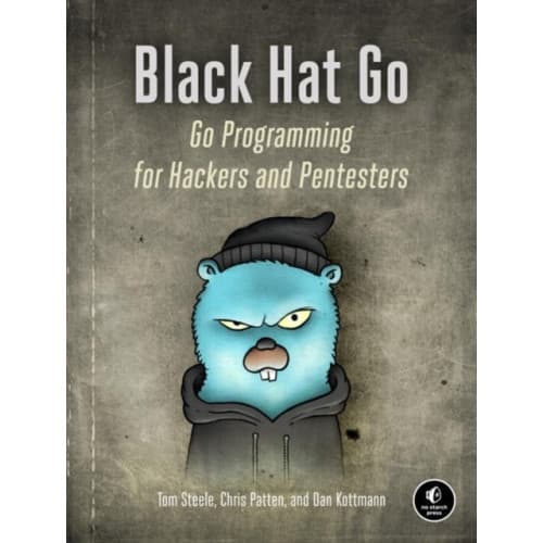 Black Hat Go (häftad, eng)