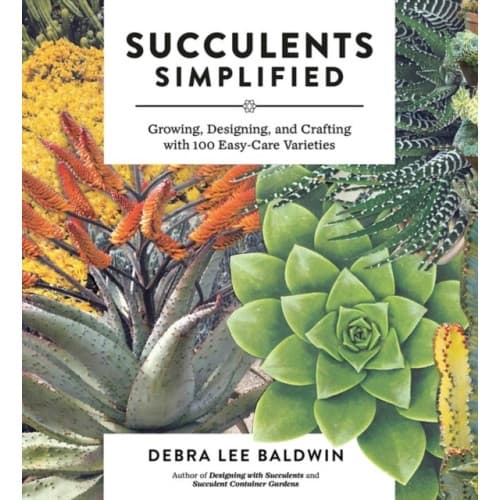 Succulents Simplified (häftad, eng)