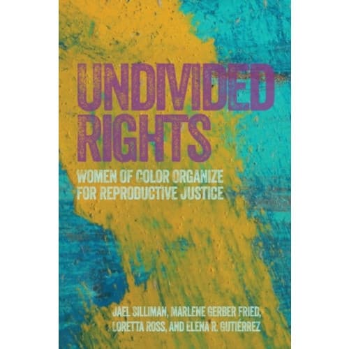 Undivided Rights (häftad, eng)