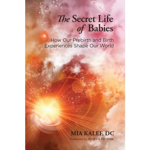 The Secret Life of Babies (häftad, eng)