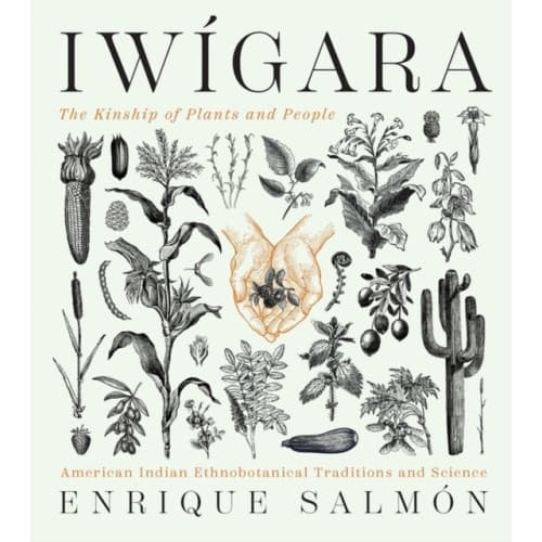 Iwigara (inbunden, eng)