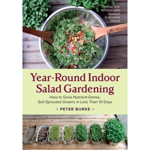 Year-Round Indoor Salad Gardening (häftad, eng)