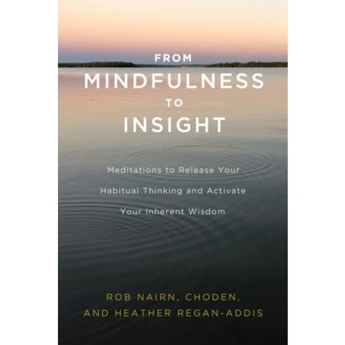 From Mindfulness to Insight (häftad, eng)