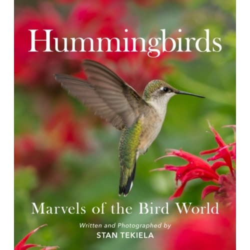 Hummingbirds (häftad, eng)