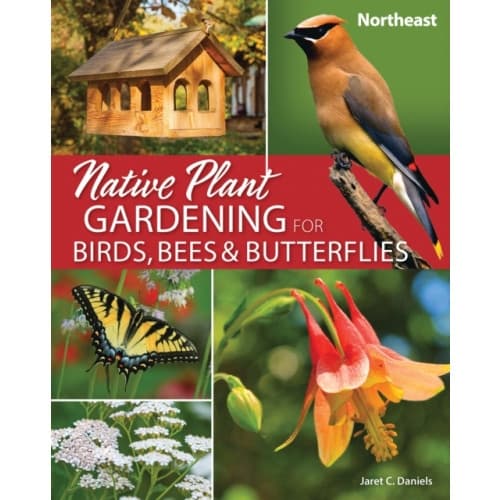 Native Plant Gardening for Birds, Bees & Butterflies: Northeast (häftad, eng)