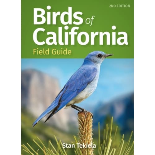 Birds of California Field Guide (häftad, eng)
