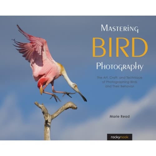 Mastering Bird Photography (häftad, eng)