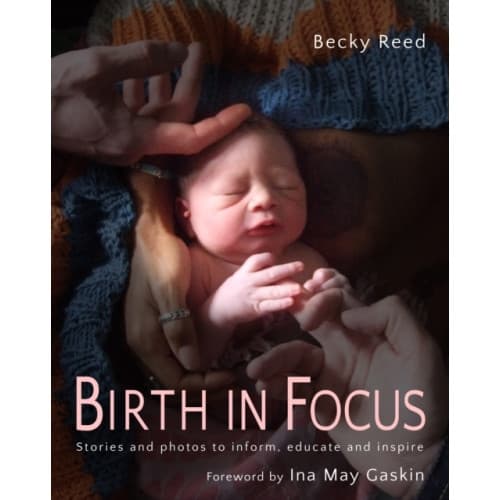 Birth in Focus (häftad, eng)
