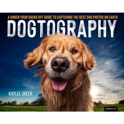 Dogtography (häftad, eng)