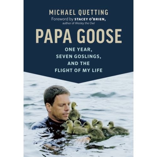 Papa Goose (inbunden, eng)