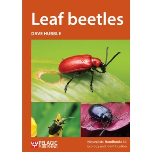 Leaf beetles (häftad, eng)